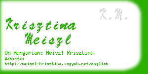 krisztina meiszl business card